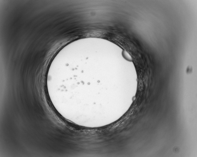 X0000103940049200810101425