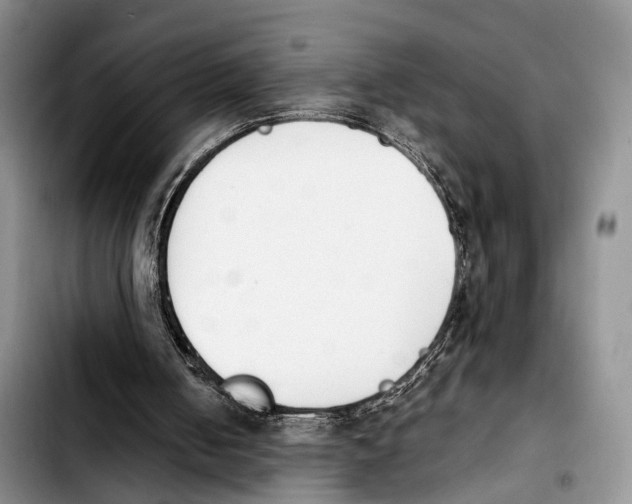 X0000103940050200810101425