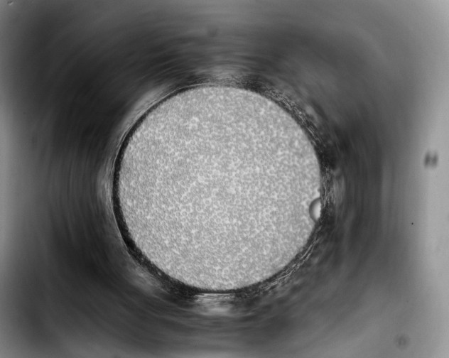 X0000103940051200810101425