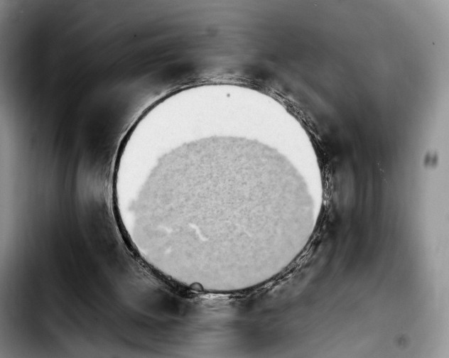 X0000103940052200810101425