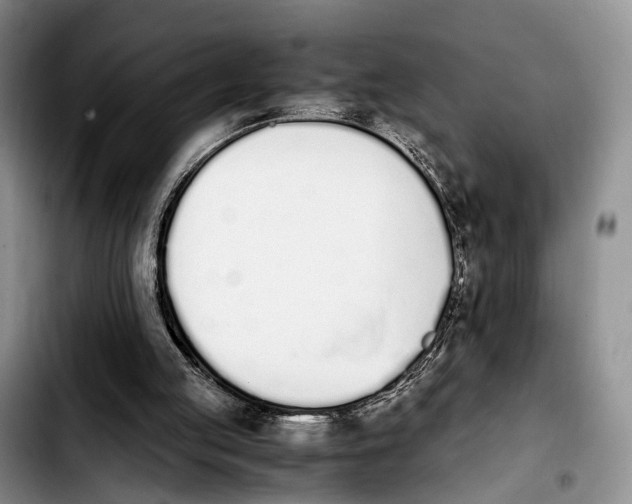 X0000103940053200810101425