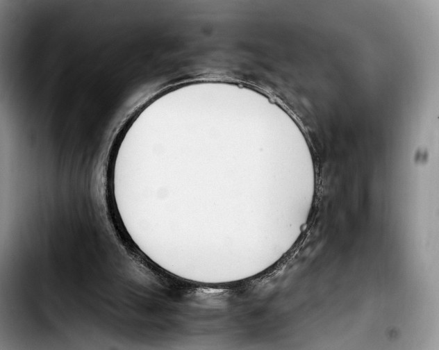 X0000103940055200810101425