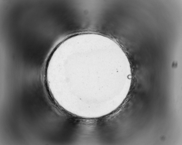 X0000103940056200810101425