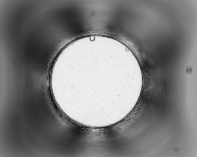 X0000103940060200810101425