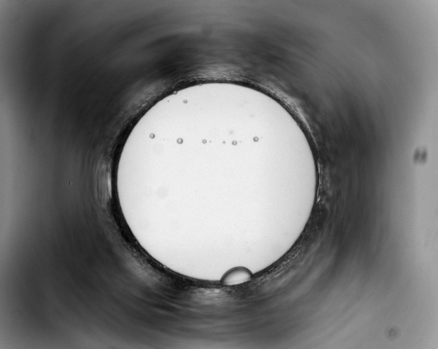 X0000103940061200810101425