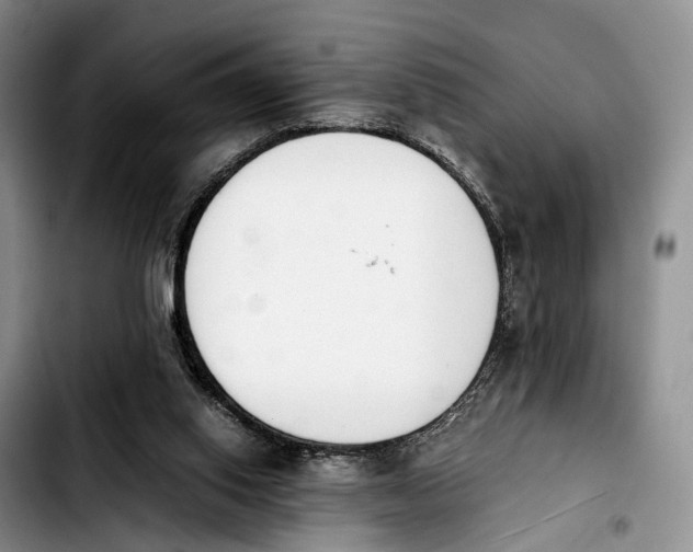 X0000103940062200810101425