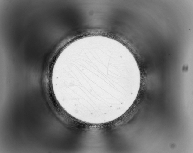 X0000103940064200810101425