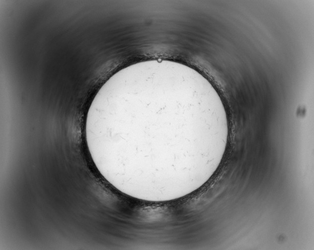 X0000103940065200810101425