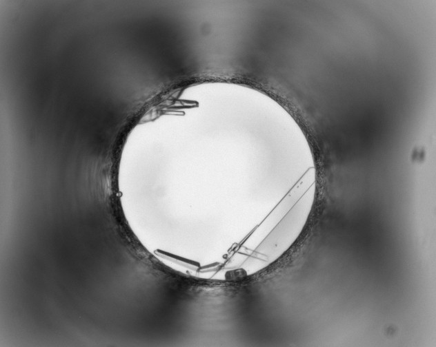 X0000103940068200810101425