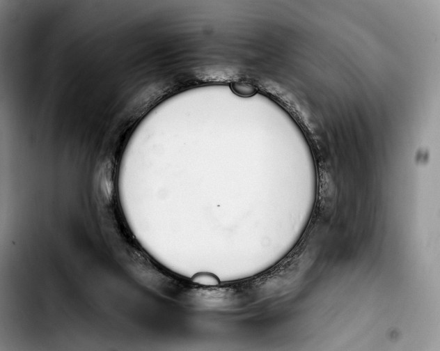 X0000103940069200810101425