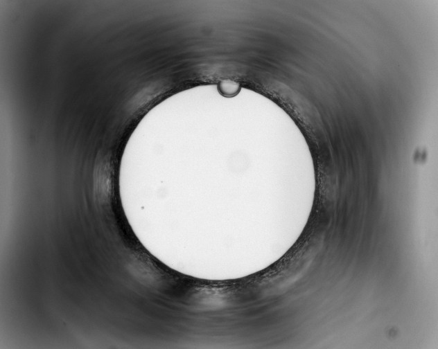 X0000103940071200810101425