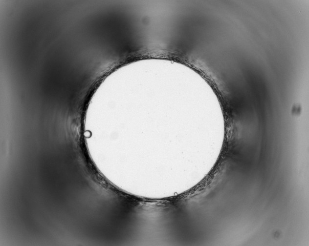 X0000103940072200810101425