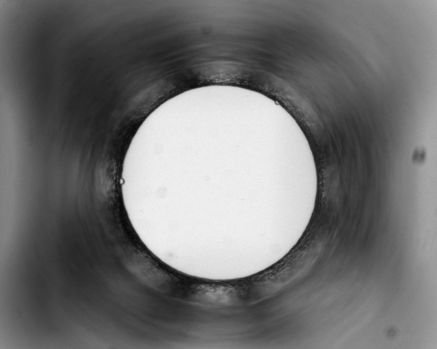 X0000103940073200810101425