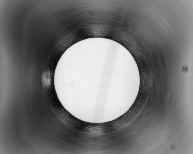 X0000103940075200810101425