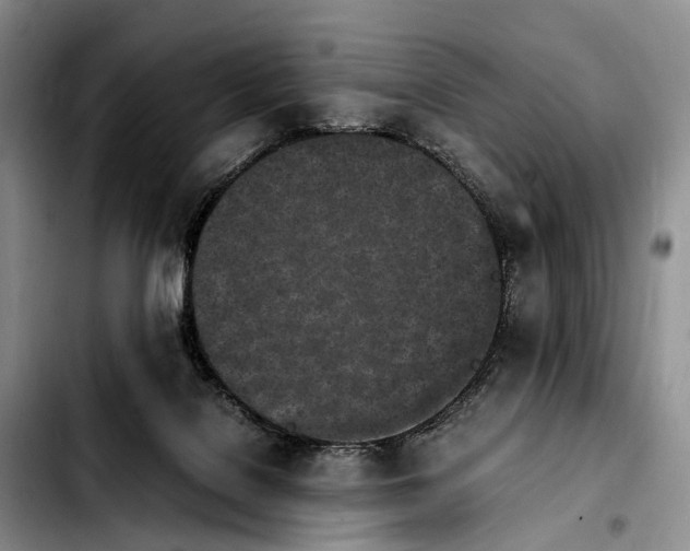 X0000103940076200810101425