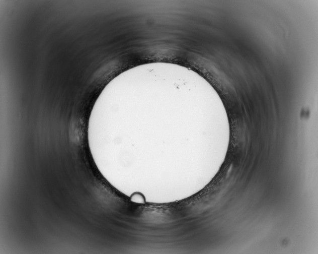 X0000103940077200810101425