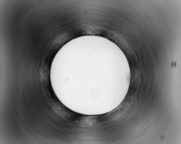 X0000103940078200810101425