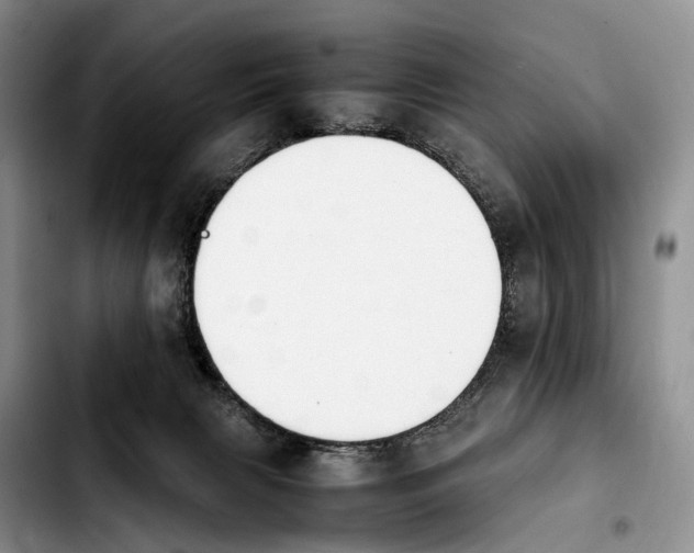 X0000103940079200810101425