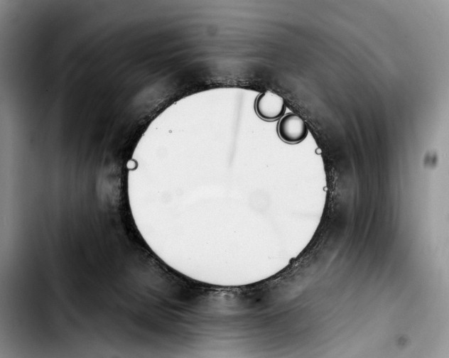 X0000103940080200810101425