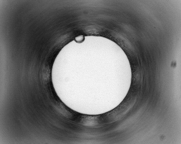 X0000103940081200810101425