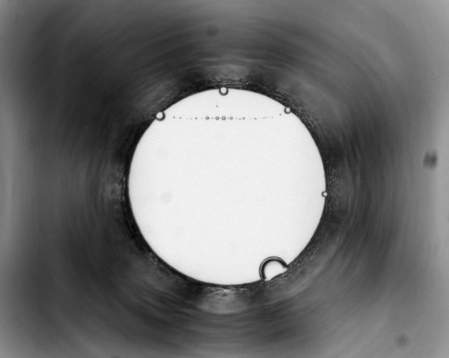 X0000103940083200810101425