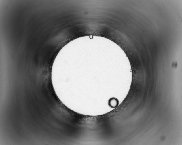 X0000103940084200810101425