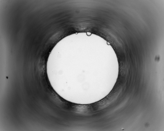 X0000103940085200810101425