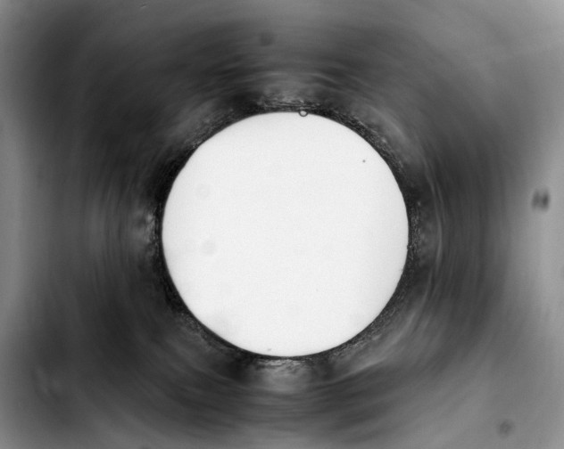 X0000103940087200810101425