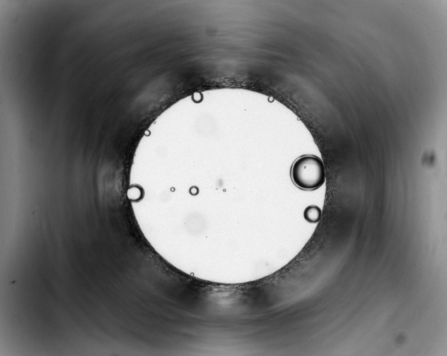 X0000103940088200810101425