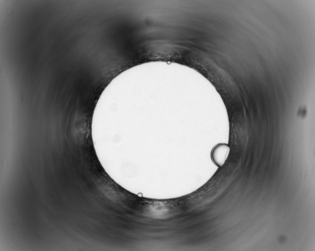 X0000103940091200810101425