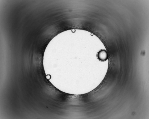 X0000103940092200810101425