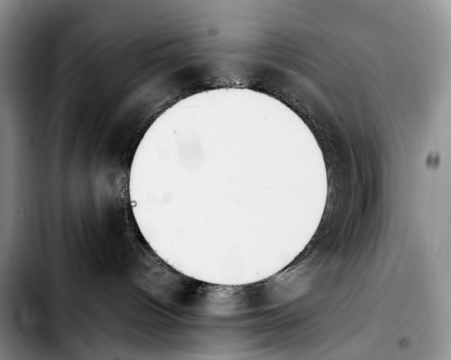 X0000103940096200810101425