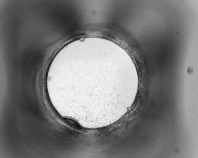 X0000103940097200810101425