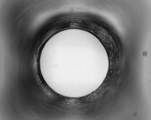 X0000103940098200810101425