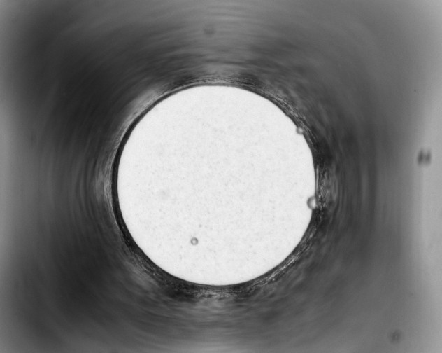 X0000103940099200810101425