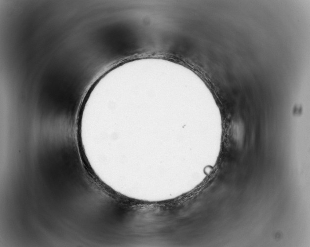 X0000103940100200810101425