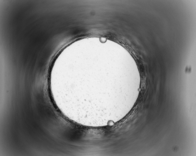 X0000103940101200810101425