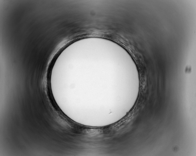 X0000103940102200810101425