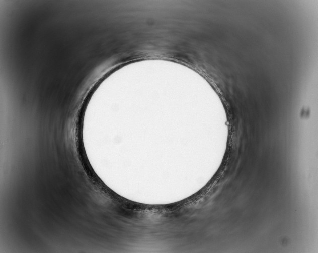 X0000103940103200810101425