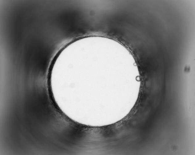 X0000103940104200810101425