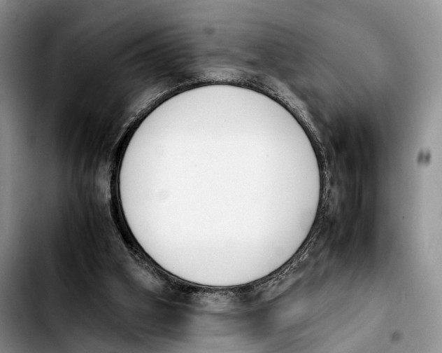 X0000103940106200810101425