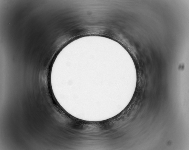 X0000103940107200810101425