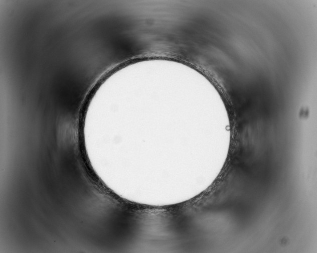 X0000103940108200810101425