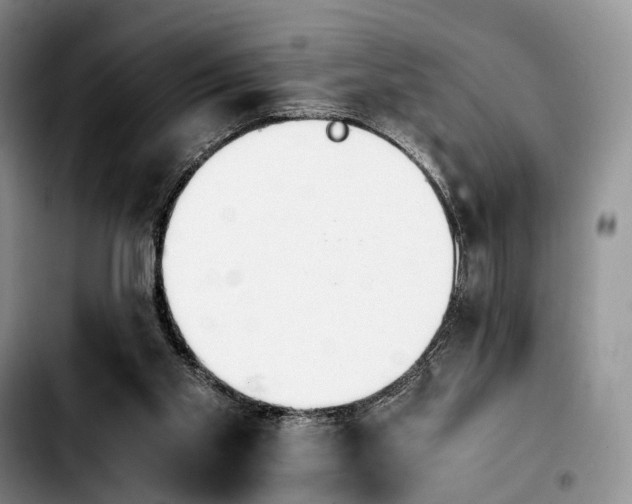 X0000103940109200810101425