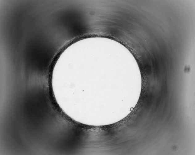 X0000103940112200810101425