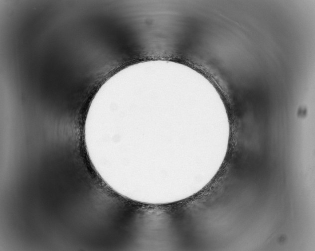 X0000103940113200810101425