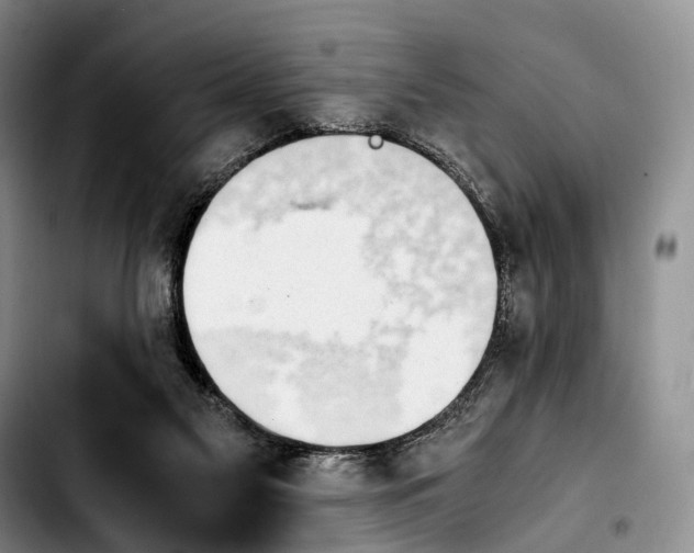 X0000103940117200810101424