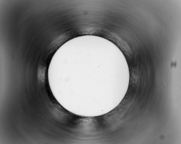 X0000103940118200810101424