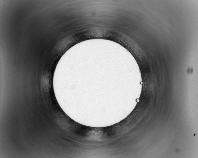 X0000103940119200810101424