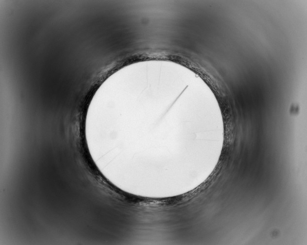 X0000103940120200810101424